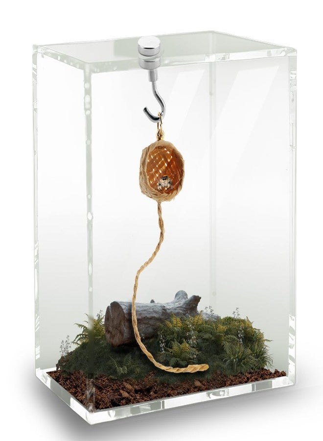 DQITJ 1 Pack Jumping Spider Hide Jumping Spider Enclosure Accessories with Magnet and Climbing Rope Spider House - Image 4